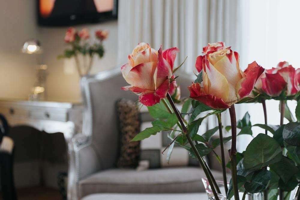 פארל The Light House Boutique Suites מראה חיצוני תמונה