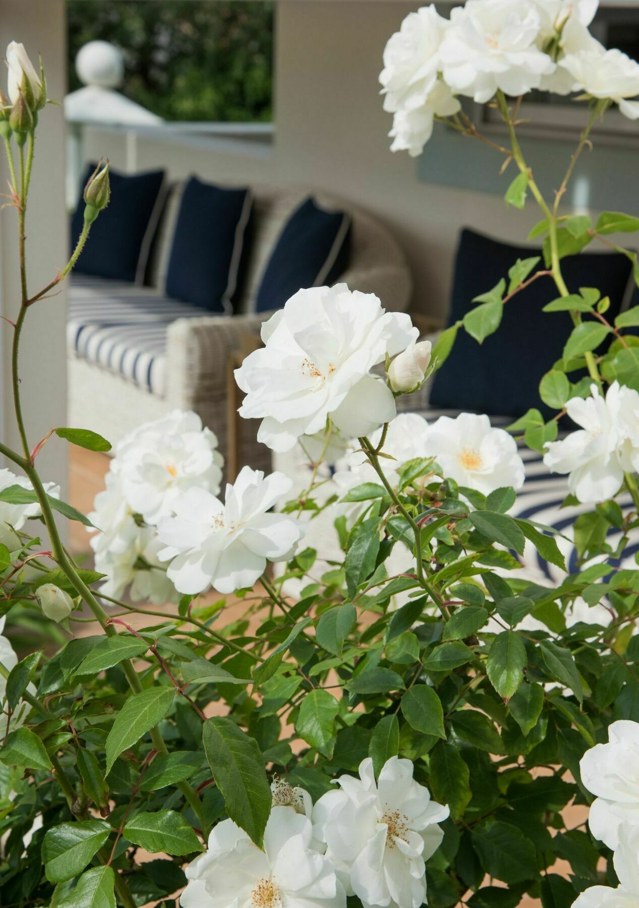 פארל The Light House Boutique Suites מראה חיצוני תמונה